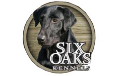 Six Oaks Kennels