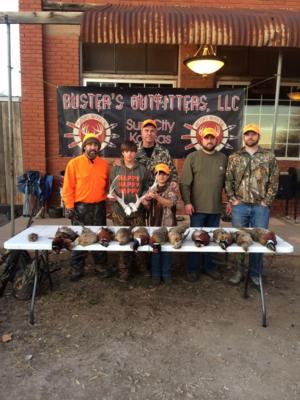 Kansas Pheasant