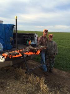 Kansas Pheasant