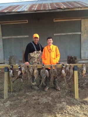 Kansas Pheasant