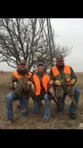 Kansas Pheasant