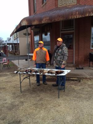 Kansas Pheasant